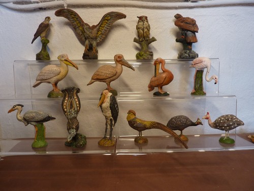 Großes vogelkonvolut von - großes,